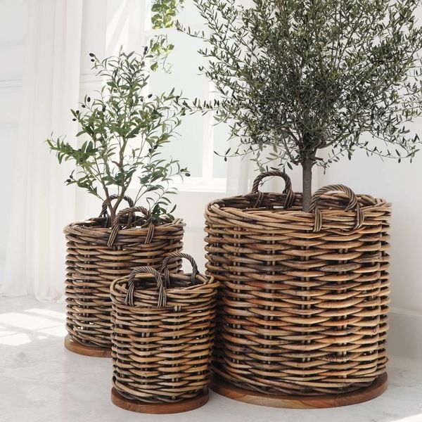 Dickes CL Rattan Korb CESTINO natural ca.D40cm Teakbodenplatte Pflanzkorb Griffe