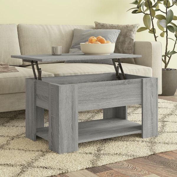 vidaXL Couchtisch Grau Sonoma 79 x 49 x 41 cm Holzwerkstoff [819276]