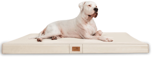 OSCAR EASY CLEAN Orthopädische Hundematratze - 120x90cm, 05 Creme