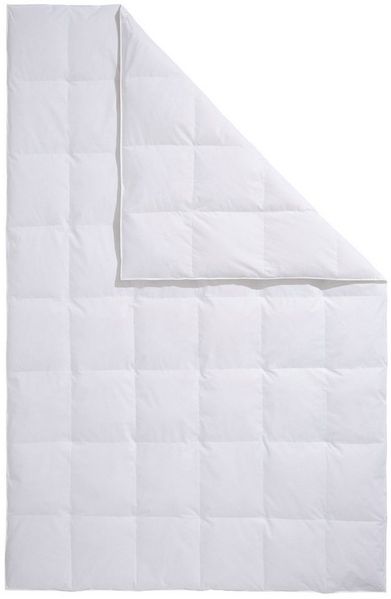 Home affaire Daunenbettdecke Köniz, Bettdecke 135x200 cm, 155x220 cm und weitere Größen, Füllung: 60% Daunen, 40% Federn, Bezug: 100% Baumwolle, Bettdecken, Sommer, Winter, Decke ist Made in Green zertifiziert