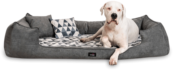 VELVET Samt Orthopädisches Hundebett - 130x100cm, 0205 Graphit-Creme