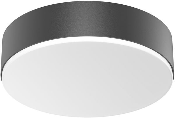STEINEL LED-Sensor-Leuchte ww, BWM, ant RSPROA20 SC ww anthr
