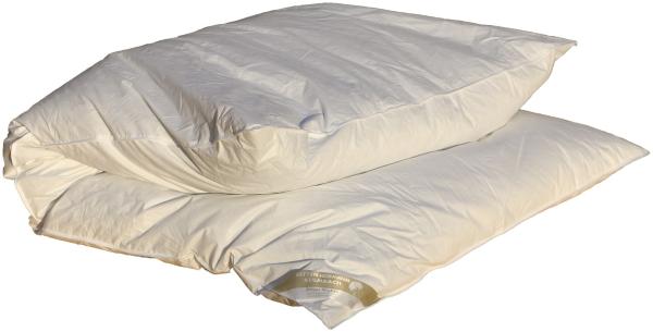 Oberbett Daunenbett Ballonbett Winterdecke 155x200 cm 2000g 60% Daunenanteil