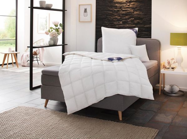 SPESSARTTRAUM Daunenbettdecke + 3-Kammer-Kopfkissen Exklusiv, 2-tlg, hergestellt in Deutschland, made in Germany, Set, Füllung: Bettdecke: 100% Daunen, Klasse 1, Downpass zertifiziert, Bezug: 100% Baumwolle, Made in Green, Hausstauballergiker geeignet,...