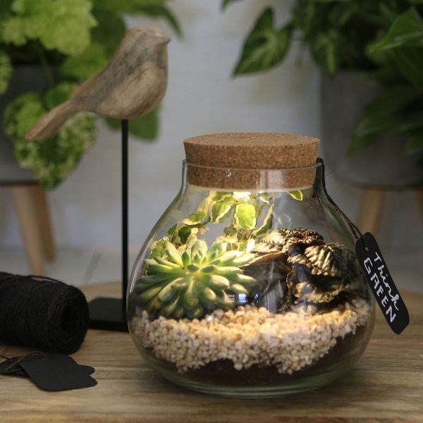 Annastore Übertopf Pflanz-Terrarium mit LED-Beleuchtung - Pflanzenglas - Flaschengarten, Pflanzenterrarium, Glas-Terrarium