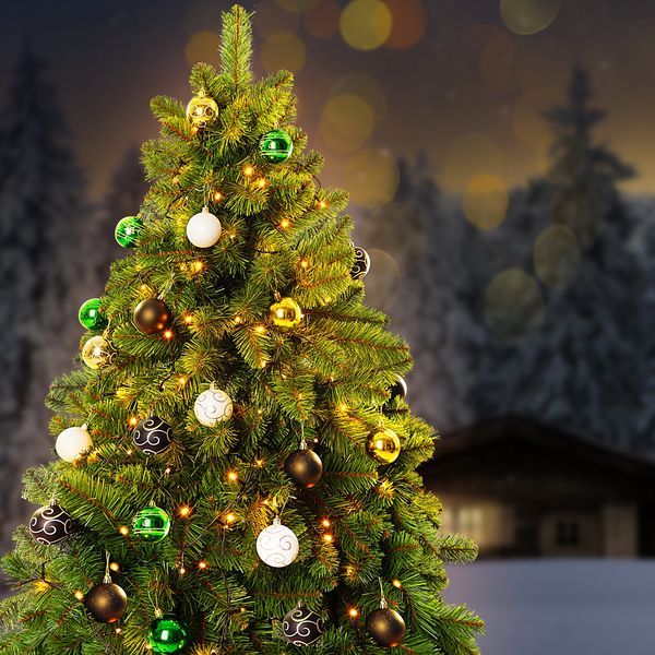 Casaria Christbaumkugeln 24 tlg matt glänzend verziert Christbaumschmuck Weihnachtsbaumkugeln Weihnachtsdeko Kugeln grün