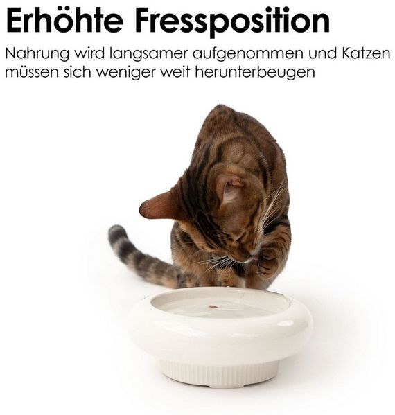 LucyBalu Futternapf MYCO erhöhter Katzennapf aus Keramik, Stoneware, Ergonomischer Futter- und Trinknapf für Katzen