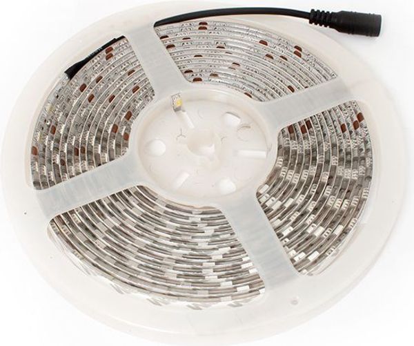 LED-5050 Abilite kaltweiß 300LED 12V IP65 5m/10mm Silikonband