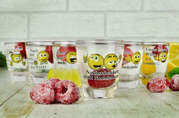 Sendez Schnapsglas 6 Schnapsgläser mit Sprüchen Shots Stamper Wodkagläser Barrel, 6-tlg, Glas