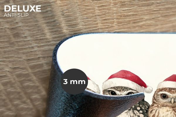 MuchoWow Platzset Eulen - Zweig - Stechpalmenblätter - Weihnachtsmannmütze, (6-St), Platzsets, Tischset, Abwaschbar, Tischsets, Platzdeckchen