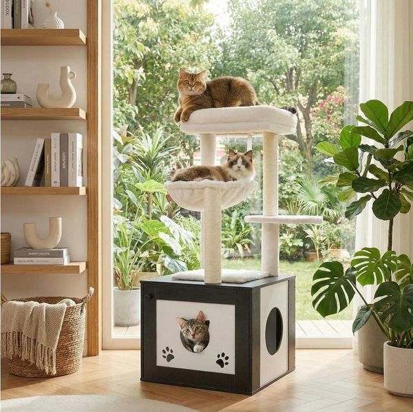TLGREEN Kratzbaum mit Katzenkloschrank,3-in-1 Katzenmöbel, 119 cm Hoch Kratzbaum Holz,Waschbare Plüschkissen