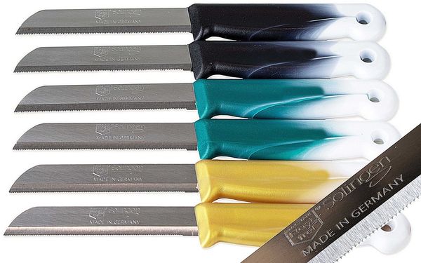SMI Obstmesser 6-tlg Solingen Gemüsemesser Schälmesser Wellenschliff Küchenmesser