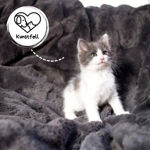 Wohndecke ELIANE, REALLaxx, flauschige XL Sofadecke 150x200cm, große Kunstfell Kuscheldecke Bild 3