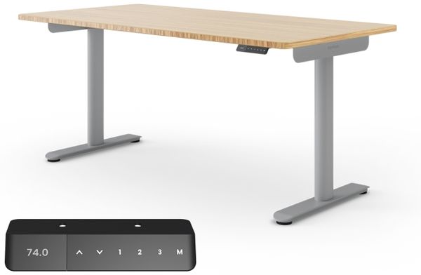 Ergotopia Desktopia One I Schreibtisch elektrisch höhenverstellbar I Tischplatte: 180x80 cm, Bambus Echtholz I Gestell Platingrau I Top Preis-Leistung