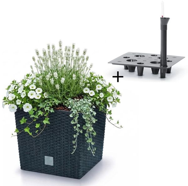 Prosperplast Blumentopf Rato Low DRTS265L, inkl. Bewässerungssystem & Pflanzeinsatz, Rattanoptik, eckig