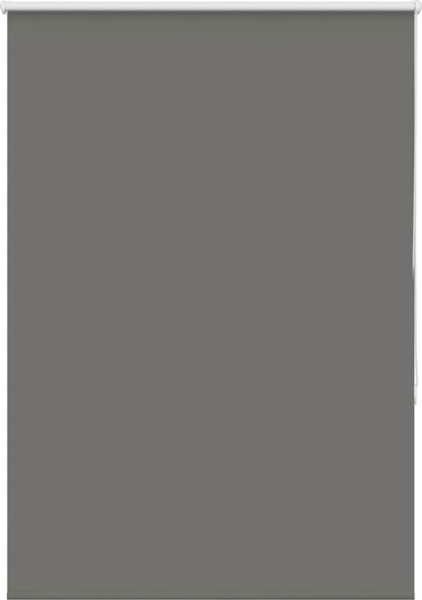 vidaXL Verdunkelungsrollo Grau 90x150 cm Stoffbreite 85,7 cm Polyester 4011126
