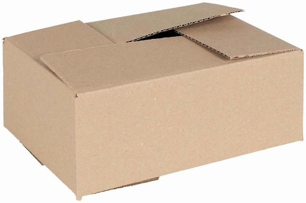 vidaXL Faltbox mit Speicher 50 pcs Natur 25 x 17,5 x 10 cm Karton 4106566
