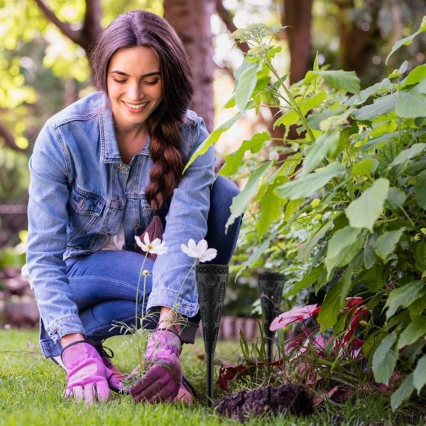 Solarlampen-Set mit Lichteffekt 10046681_305 Bild 3