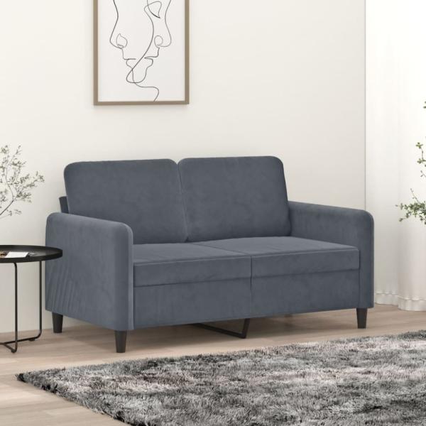 vidaXL 2-Sitzer-Sofa Dunkelgrau 120 cm Samt