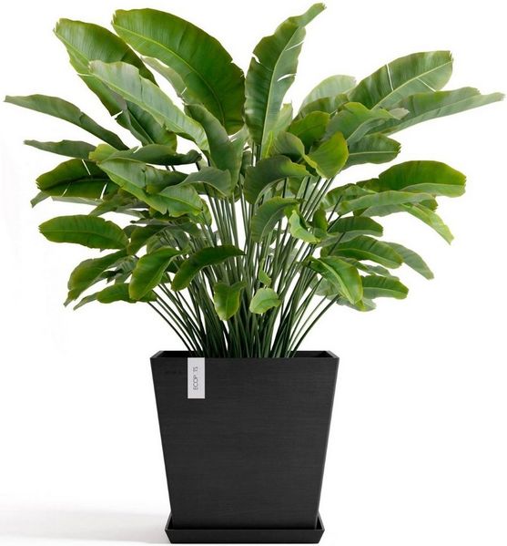 Ecopots Pflanztopf Rotterdam 45 x 45 x 44 cm dunkelgrau Bild 3