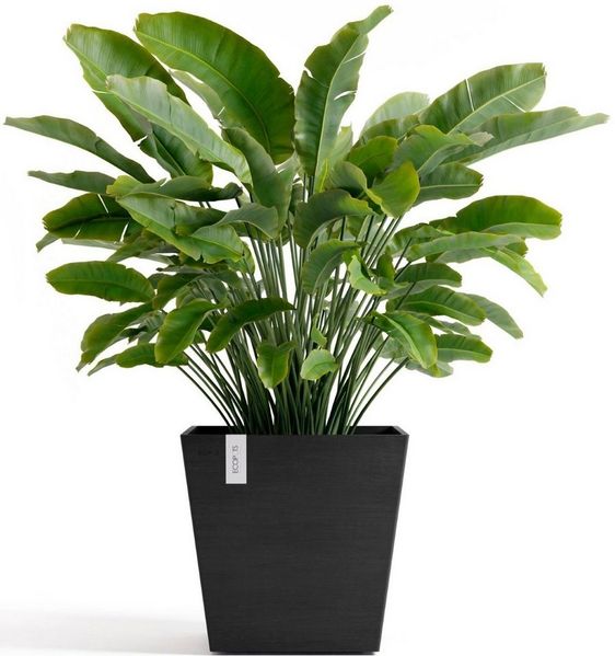 Ecopots Pflanztopf Rotterdam 45 x 45 x 44 cm dunkelgrau Bild 4
