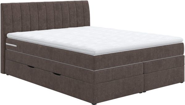 COTTA Boxspringbett Shark inkl. Bettkasten und Topper, erhältlich in den Breiten 140x200cm, 160x200cm und 180x200cm