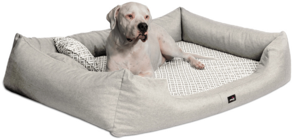 ELLEN Orthopädisches Hundebett - 05 Creme, 110x90cm Bild 1