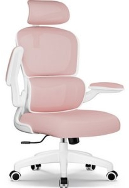 Homimaster Bürostuhl Bürostuhl, Schreibtischstuhl Ergonomisch mit Klappbaren Armlehnen (Bürostuhl mit Verstellbarer Kopfstütze, 90° Klappbare Armlehnen und Lendenwirbelstütze, Höhenverstellbarer Chefsessel aus Mesh), Bürostuhl mit maximaler Neigung von... Bild 6