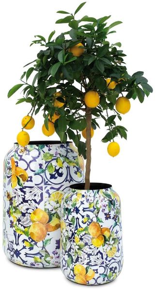 Lemon Fusion Pflanzgefäß mit Zitronen-Baum-Muster 2er Set