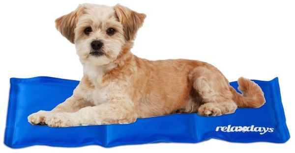 Relaxdays Kühlmatte Hund blau