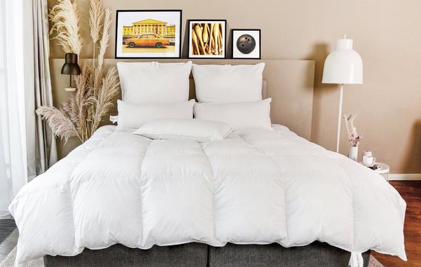 BEFA NATUR Daunenbettdecke kuschelig weiche Premium-Ganzjahresdecke, 4-Jahreszeitendecke, Füllung: 90% Daunen, 10% Federn, Made in Germany - Bettdecke Größe 135x200 155x220 200x200 erhältlich