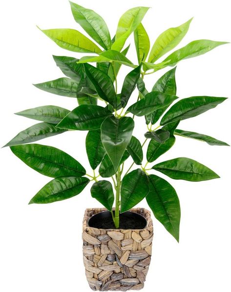 Kunstpflanze Schefflera, I.GE.A, Höhe 48 cm, Mit Übertopf Künstliche Seidenblumen