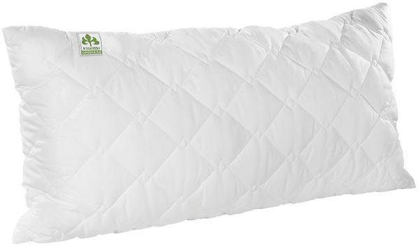 irisette GREENLINE Kopfkissen Lavendel Bio, Füllung: 100% Polyester - Hohlfaserkugeln (recycelt) mit echten Lavendelblüten, Bezug: Bio-Baumwolle, Seitenschläfer, Rückenschläfer, Bauchschläfer, mit wohltuendem Lavendelduft, produziert in Deutschland