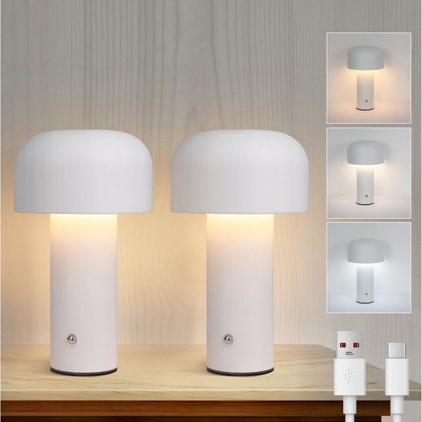 Nettlife LED Tischleuchte Dimmbar Kabellos Akku 2W Nachttischlampe Schlafzimmer Klein Pilzlampe, Dimmbar, LED fest integriert, Farbwechsler, Aufladbar Nachtleuchte Metall für Wohnzimmer Nachttisch Schreibtisch