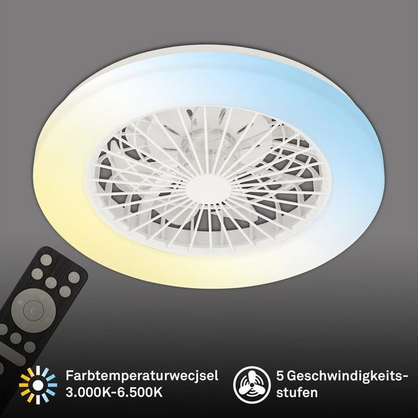 OTTO home Deckenleuchte CCT Deckenleuchte mit Ventilator Vivienna, CCT - über Fernbedienung, Dimmfunktion, Farbsteuerung, Memoryfunktion, Nachtlichtfunktion, Timerfunktion, Ventilatorfunktion, LED fest integriert, Deckenventilator mit Licht, 48,5x14,5 ...