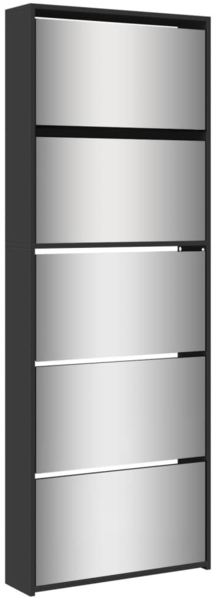 vidaXL Schuhschrank mit Spiegel 5 Fächer Schwarz 63x17x169,5 cm 3228280