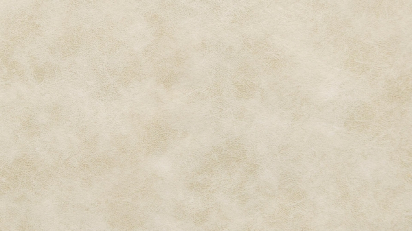 Meisterbetten Boxspringbett Nora 240x200 in MS-Nature, Matratzenbezug Nano, Komfortschaum-Topper Bild 2