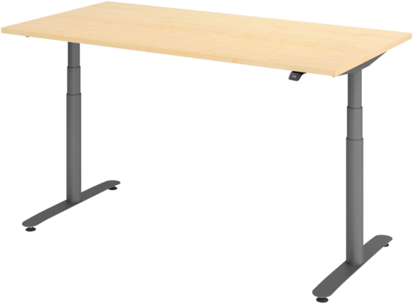 bümö elektrisch höhenverstellbarer Schreibtisch 160x80 cm mit Memory, Bluetooth & App-Steuerung - Schreibtisch höhenverstellbar elektrisch , elektrischer Schreibtisch Ahorn, Gestell graphit, XDLR-16-3-G