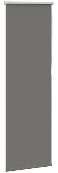 vidaXL Verdunkelungsrollo Grau 45x130 cm Stoffbreite 40,7 cm Polyester 4011091 Bild 3