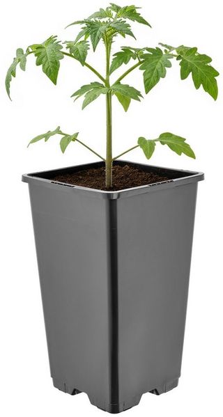 Garronda Blumentopf Kunststoff hoch eckig mit Drainagelöchern für Garten GD-0201 (1 St)
