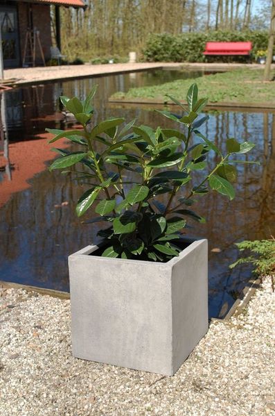 VIVANNO Pflanzkübel Fiberglas BLOCK Würfel - Betongrau Beton-Design (1 St), 30x30x30 cm