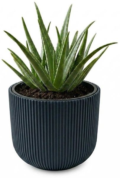 Prosperplast Blumentopf Milly, inkl. Pflanzeinsatz, 23,9 x 19,7 cm