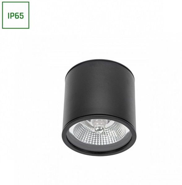 Deckenspots schwarz D-120mm AR111 GU10 IP65 rund