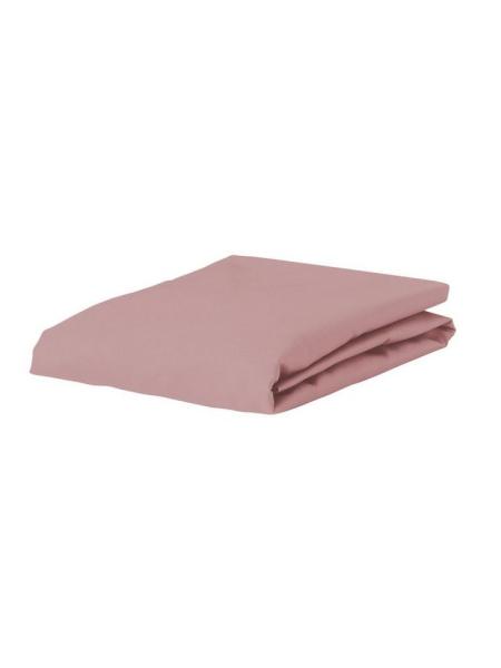 Essenza Spannbettlaken Premium Percale, Perkal, Gummizug: rundum, (1 Stück), Uni Baumwollperkal