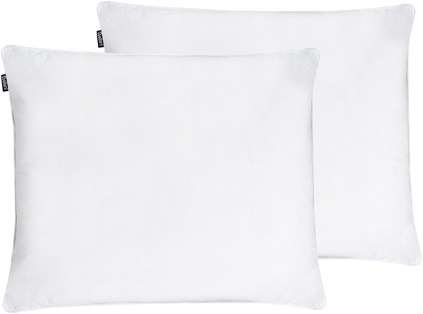 Kopfkissen 2er Set Entenfedern Entendaunen niedrig 50x60 cm VIHREN