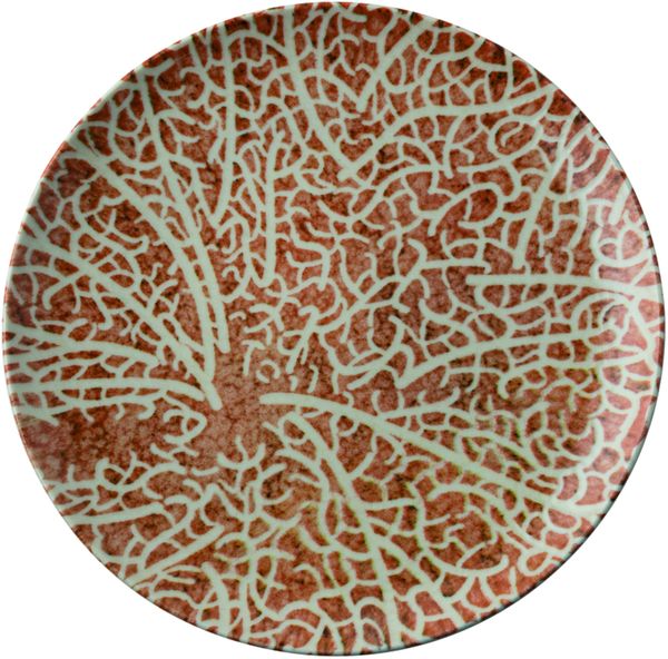 Speiseteller ARTHUR Krupp NATURE ESSENCE C D 27.50 cm