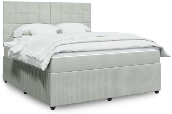 vidaXL Boxspringbett mit Matratze Hellgrau 180x200 cm Samt 3294706