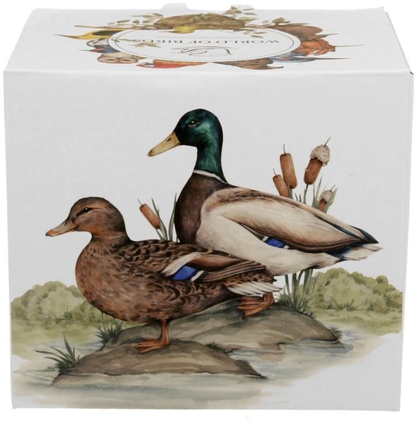 DUO World of Birds Becher 400 ml WILD DUCK (Wildente) New Bone China Porzellan Bild 3
