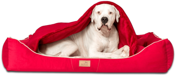 RUDOLPH Orthopädisches Hundebett, inkl. Schonbezug - 130x100cm, 04 Dunkelrot Bild 2