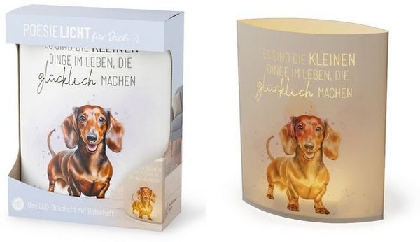 Deko Lampe Leuchte Batterie Poesielicht für Dich la vida Geschenk Dackel 6298051